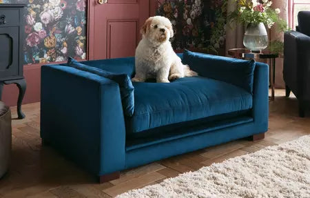 5 Signs You Should Replace Your Sofa