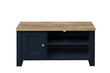 Highgate Navy Blue & Oak Small TV Unit